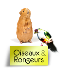 rongeurs et oiseaux